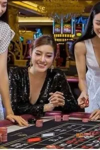 TD88 – Lựa Chọn Giải Trí Đáng Tin Cậy Cho Mọi Anh Em