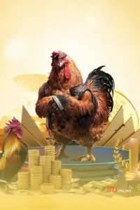 Khuyến mãi đá gà Tonhon – cơ hội săn thưởng cực hấp dẫn