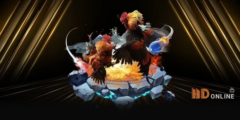 Bảng tổng hợp các yếu tố quan trọng khi tham gia đá gà